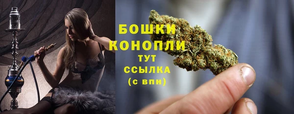 мяу мяу мука Бородино