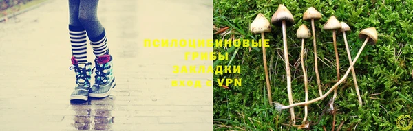 мяу мяу мука Бородино